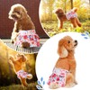 SlowTon Washable Dog Diapers Female - 3 Pack No Leak