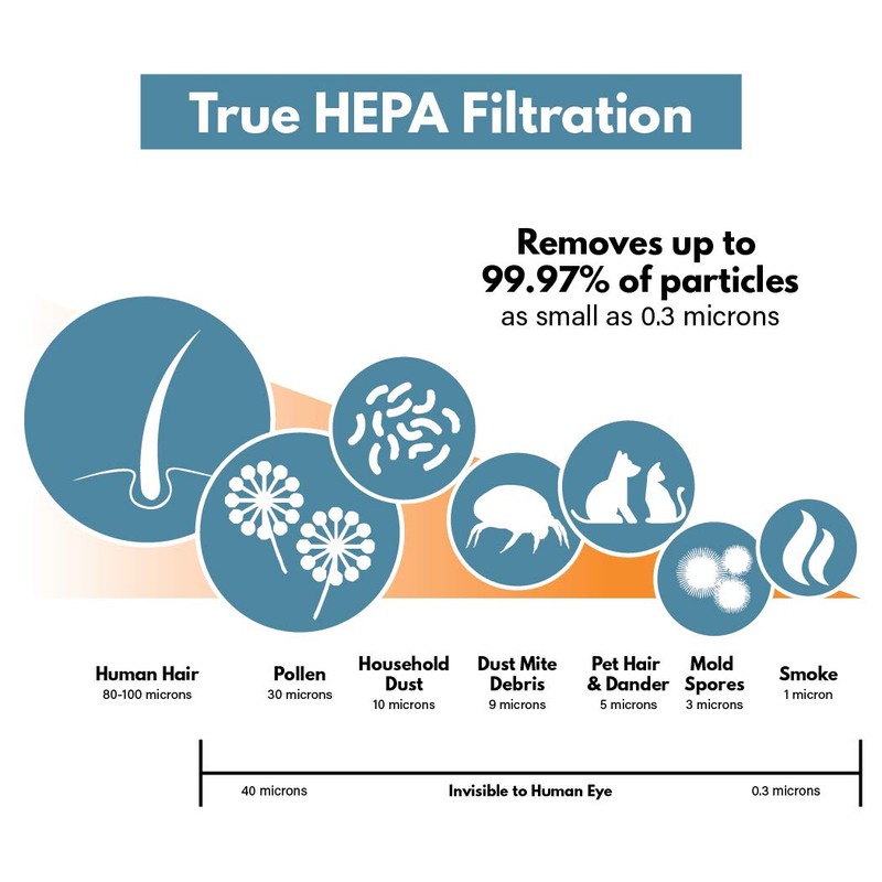 True HEPA Replacement Filter Compatible with Holmes HAPF600 (B Filter)