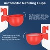 Chicken Waterer Cups | Automatic Large Chicken Water Feeder for