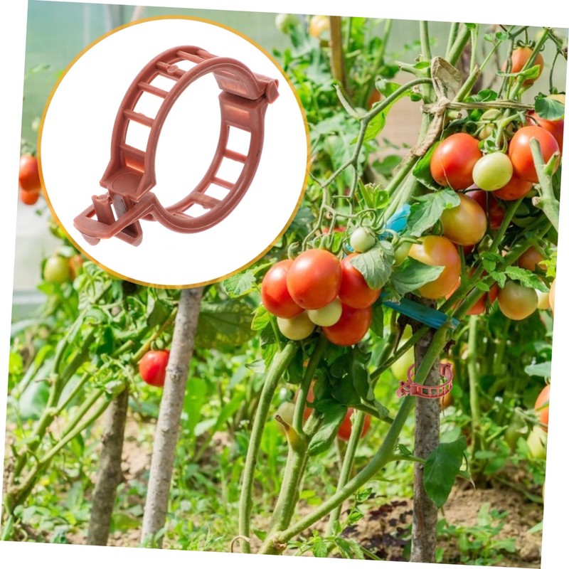 CAXUSD 1set Weatherproof Tomato Stem Support Clips Reusable Gardening Clips