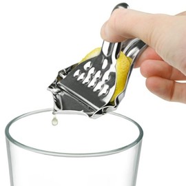 Stainless Steel Lemon Squeezer (Set of 2)