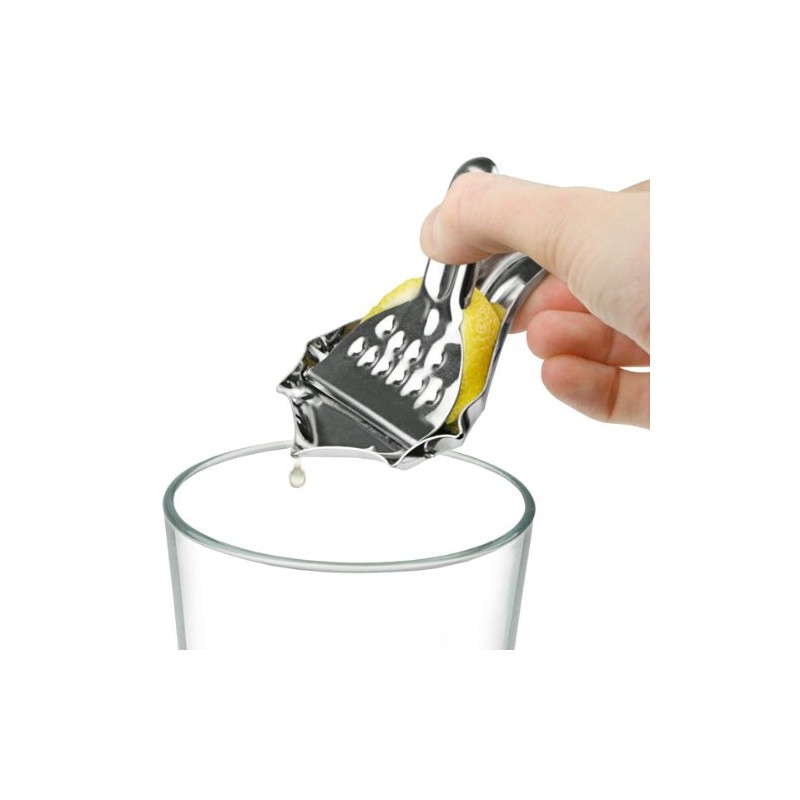 Stainless Steel Lemon Squeezer (Set of 2)