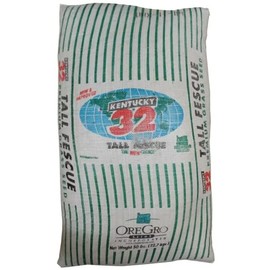 Kentucky 32 Endophyte Free Tall Fescue Grass Seed (1 Lb.)