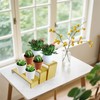 CRAFTIFANO Acrylic Display Risers 2 Sets 3 Tier Cupcake Stand