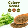 Food to Live Whole Celery Seeds, 1 Pound – Dried