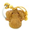 Amulet Double Lucky Fortune Fish Money Bag and Good Luck