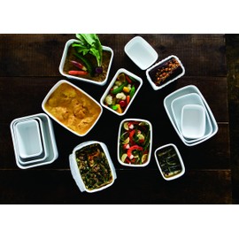 Fuji Hollow Shallow Square Container Konte L Moss Green KE-L MG