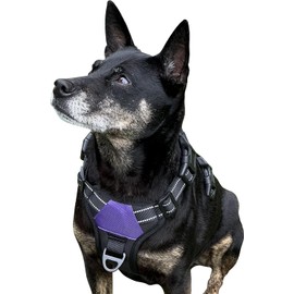 The North Star Dog Harness™ - Comfortable, Fully Adjustable, Designed to Reduce Pulling, Escape Resistant, Durable, fastens Easily and securely with Airtag Holder (Black/Purple, S)