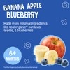 Earth's Best Organic Banana Apple Blueberry Pouch, 3.5 oz (Pack