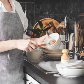 5 x Hofmeister® Replacement Head for Wooden Dish Brush, Length 24 cm, Real Fibre, Large Head 5.3 cm, Robust, Made in Europe, Heat-Resistant Washing Brush, Brush Head for Changing, Made in EU