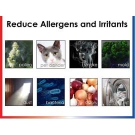 LifeSupplyUSA 1 HEPA Filter + 2 Odor Pre-Filters Compatible with Oreck OptiMax Medium Room Air Purifier AIR95