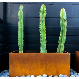 DIY CARTEL Corten Steel Rectangular Planter Box | Modern Farmhouse Rustic Design | Outdoor Metal Trough Raised Garden Bed for Commercial & Residential Use (36in x 12in x 16in)