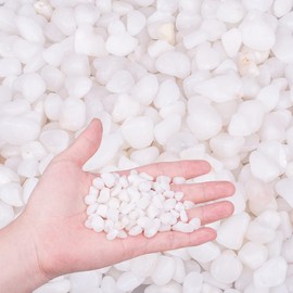 GRANDAN 5.9 LB Polished Pebbles 3/8", Gravel Size Natural Decorative Smooth White River Rocks, Small Pebble Stone for Landscaping, Succulent, Bonsai, Potted Plants, Aquarium, Fairy Garden