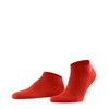Dafi soft 6 Pairs Trainer Ankle Socks Men, Cotton, Made