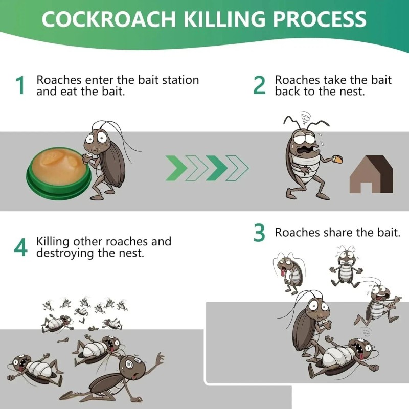 h.n Roach Killer Cockroach Traps for Indoor & Outdoor Infestation