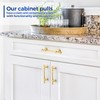 JOY DECOR 10 Pack 3 Inch Brushed Brass Kitchen Cabinet