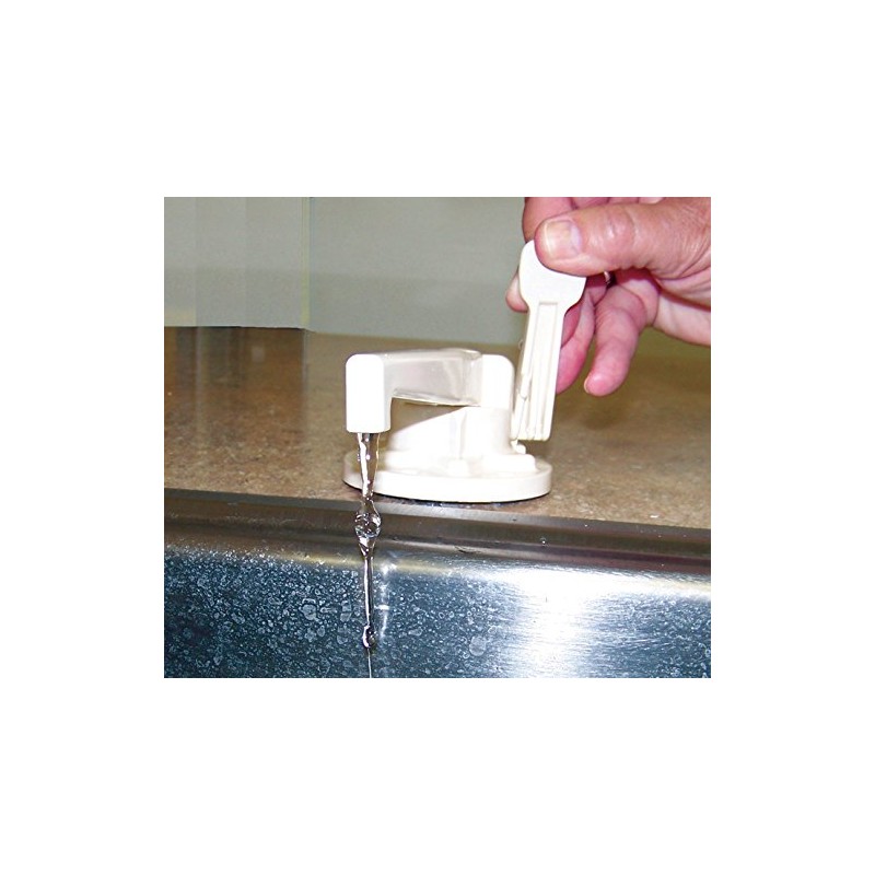 Zebra RV (R3700-Polar White) Combo Water Pump