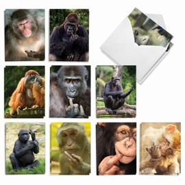 The Best Card Company - 20 Blank Note Cards with Envelopes (4 x 5.12 Inch) - All Occasion Animal Card Assortment (10 Designs, 2 Each) - Flipping Monkey AM9516OCB-B2x10