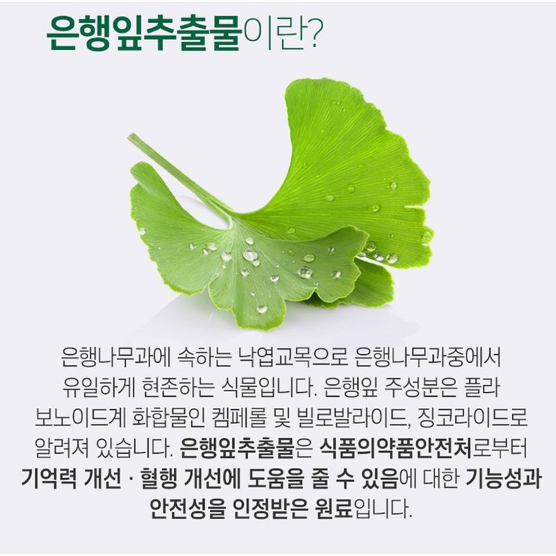 Zincmin Ginkgo Biloba Extract Benefits Memory Improvement Vitamin Nutrition /