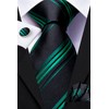 Hi-Tie Lot 5 Pcs Gift Box Mens Tie Set Necktie