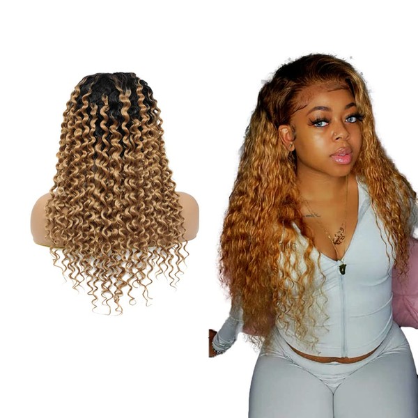 Lace Front Wigs, Human Hair Wig, Brazilian Virgin Hair Wig, Jerry Curly Wig, Human Hair, 4 x 4 Lace Closure Wig, 1B/27 Wig, Blonde Lace Wig, Ombre Wig for Black Women, 14 Inches (35.5 cm)
