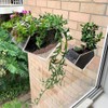 NYGHMY 1 Pcs Diamond Shape Acrylic Window Planter - Transparent