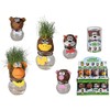 Out of the blue Grass Head on Vase with Funny