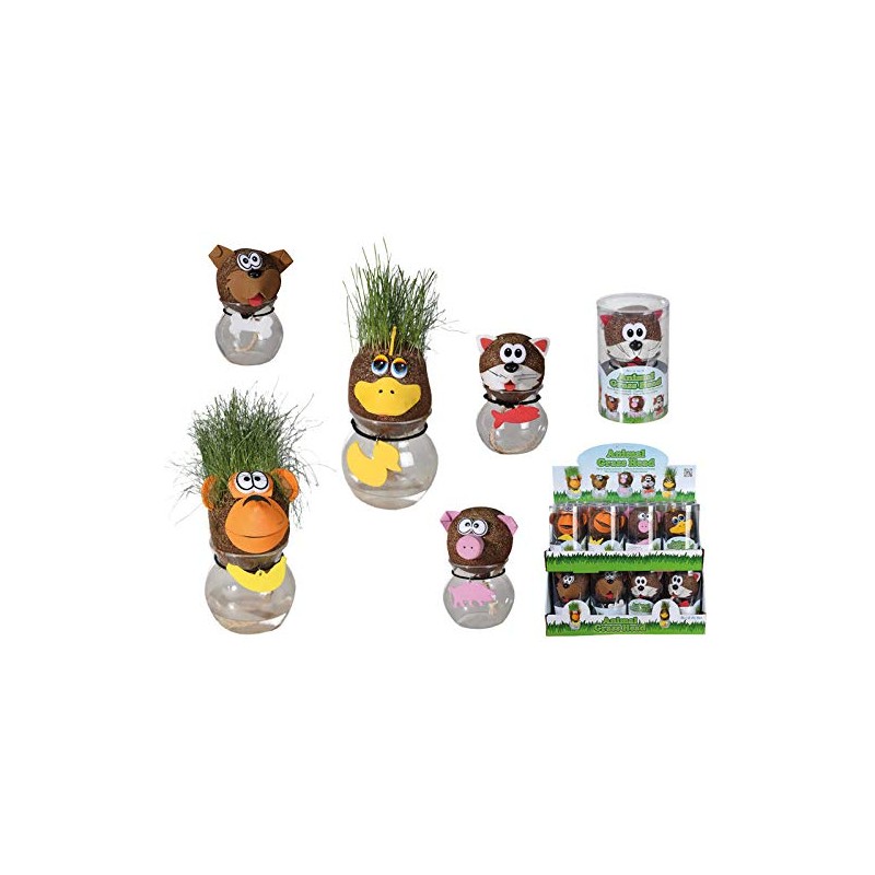 Out of the blue Grass Head on Vase with Funny