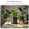 Jinnee Yard，The Intelligent Plant Self-Watering Devices Made of Brass and