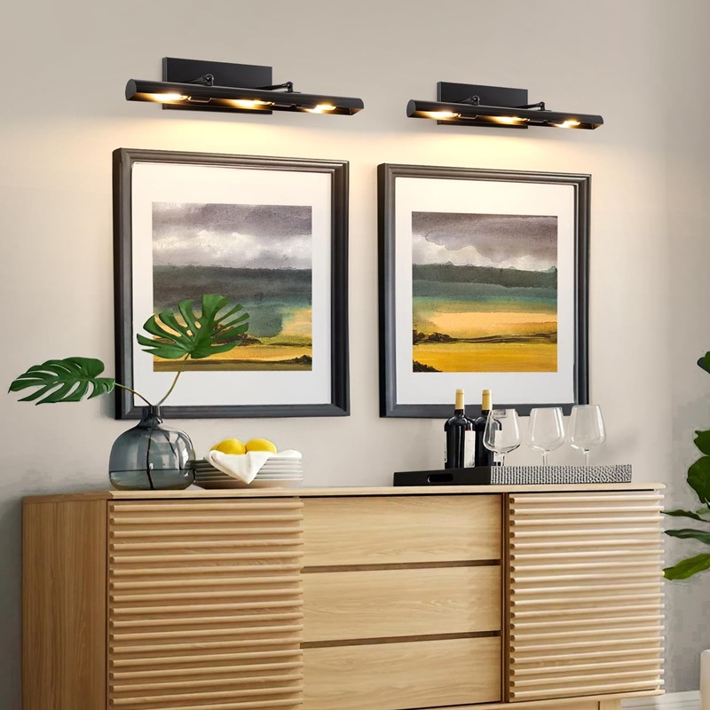 BELS Picture Lights for Wall Hardwired, 24" Black Wall Lights