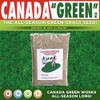 Canada Green Grass Lawn Seed - Grows Healthy Rich Green