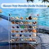 Vordpe 36 Compartments Acrylic Magnetic Seashell Display Box, Clear Shell