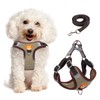 Dog Harness for Small Dogs, Adjustable No Pull Harness for