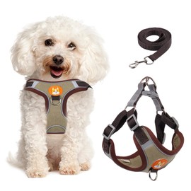 Dog Harness for Small Dogs, Adjustable No Pull Harness for Small Dogs Comfort Reflective Small Dog Harness and Leash Set with 2 Leash Clips, Puppy Dog Vest Harness for Small Medium Dogs