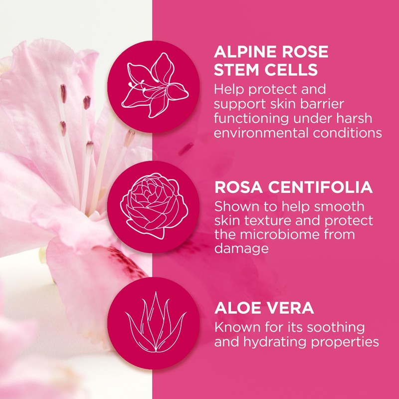 Andalou Naturals 1000 ROSES® Soothing Sleeping Mask