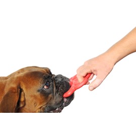 Zamibo Agility Toy Floating and Jumping Assorted 14 x 13 x 1.5 cm