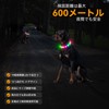Kpuplol Luminous Collar, Dog, 12 Lighting Modes, Dogs, LED Collar,