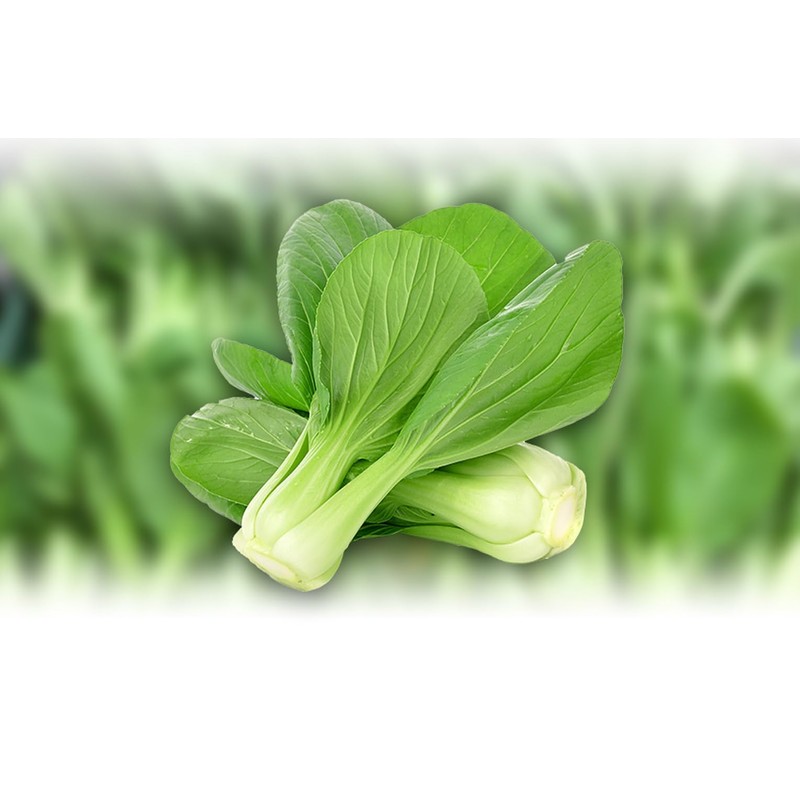 Natural Pure Dried Pak Choi (Bok Choy) Cut&Sifted-10.58 Ounce (300g)