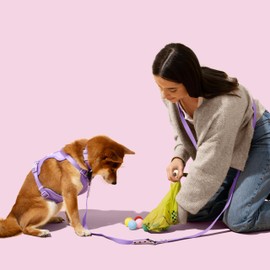 THE LICKER STORE WBG1000B-20SET 13 in. x 9 in. Extra Thick Leak Proof Unscented Biodegradable Dog Poop Bags, Green (300 Count, 20-Rolls)