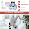 Niuniu Daddy 4LBS | Raccoon Heatable Weighted Stuffed Animals, Microwavable