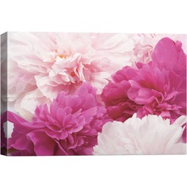 SIGNWIN Canvas Wall Art Bouquet of Blush Pink, Red and White Peony Floral Flower Photography Modern Art Romantics Closeup Duotone for Living Room, Bedroom, Office - 16x24 inches