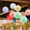 10pcs Multicolour Hanging Tissue Paper Pom Poms, Paper Flowers Ball