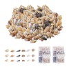 200 Pieces Shell Decoration, Aquarium Decoration Shells, Natural Shell Crafts,