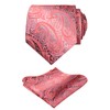 Alizeal Gradient Paisley Floral Tie with Pocket Square Set-Coral