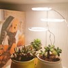 LED Plant Grow Light 5 Dimmable Modes 4 Head Timing