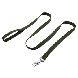 Strong Nylon Dog Leash, 4FT/ 5 FT/ 6FT Dog Leashes for Medium Large Dogs(4 FT, Green)