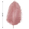 Larryhot Pink Ostrich Feathers Bulk- 16-18 inch 10pcs Feathers for