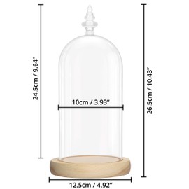 Belle Vous Glass Bell Glass Dome Large with Wooden Base - 26.5 cm Decorative Glass Hood as Table Decoration, Decorative Glass Dome Transparent Glass Bell, Glass Dome Cloche with Base for Lights,