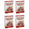 Grain.Berry Cereal - Cinnamon Frosted Wheat Cereal with ONYX Sorghum