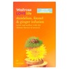 Lovelife Dandelion, Fennel & Ginger Infusion Tea Waitrose 20 per pack